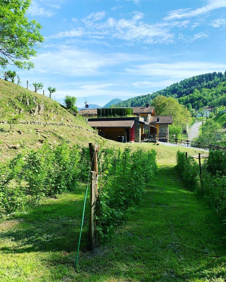 Agriturismo Il Talento Nella Quiete カスティリオーネ・ディンテルヴィ エクステリア 写真