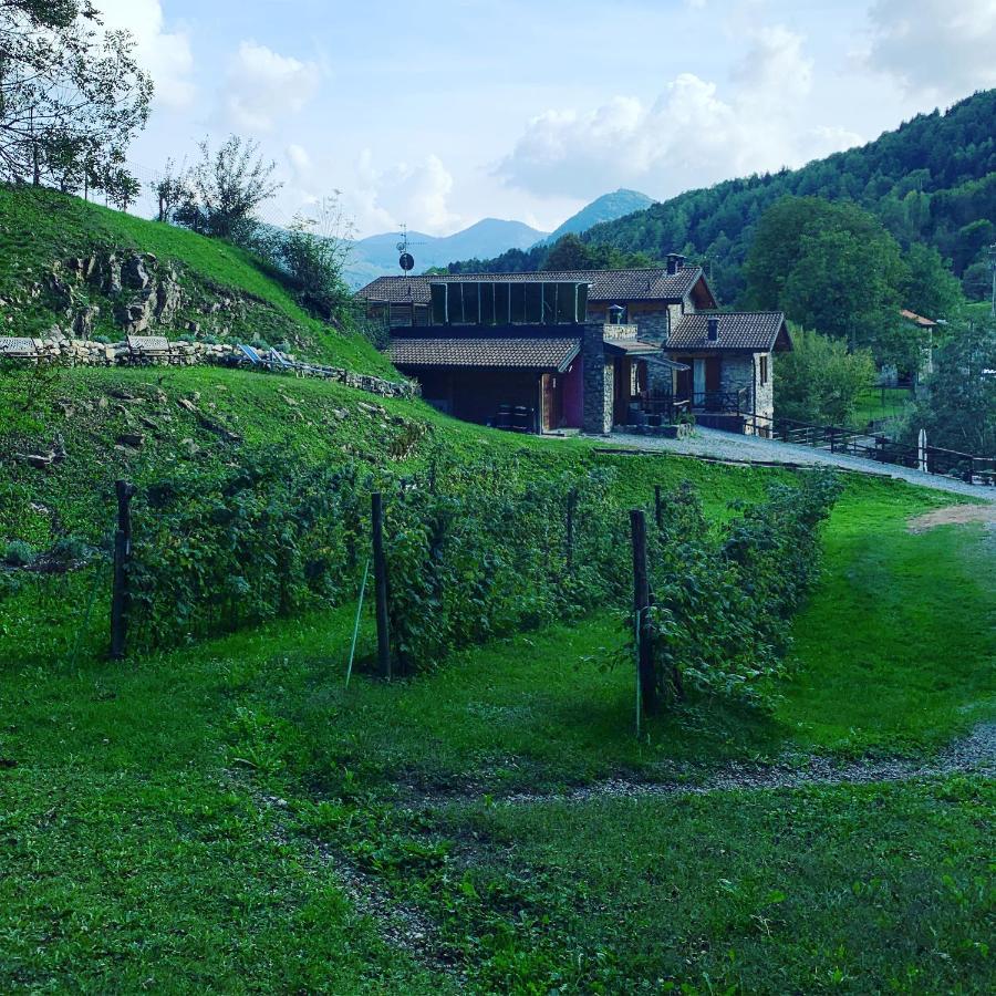 Agriturismo Il Talento Nella Quiete カスティリオーネ・ディンテルヴィ エクステリア 写真