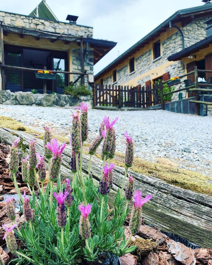 Agriturismo Il Talento Nella Quiete カスティリオーネ・ディンテルヴィ エクステリア 写真