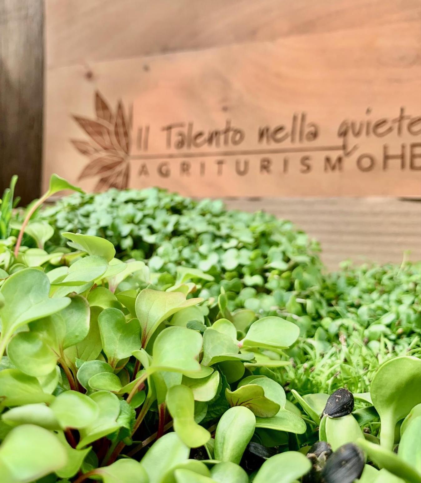 Agriturismo Il Talento Nella Quiete カスティリオーネ・ディンテルヴィ エクステリア 写真