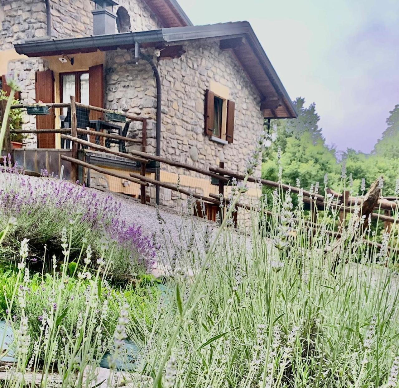 Agriturismo Il Talento Nella Quiete カスティリオーネ・ディンテルヴィ エクステリア 写真