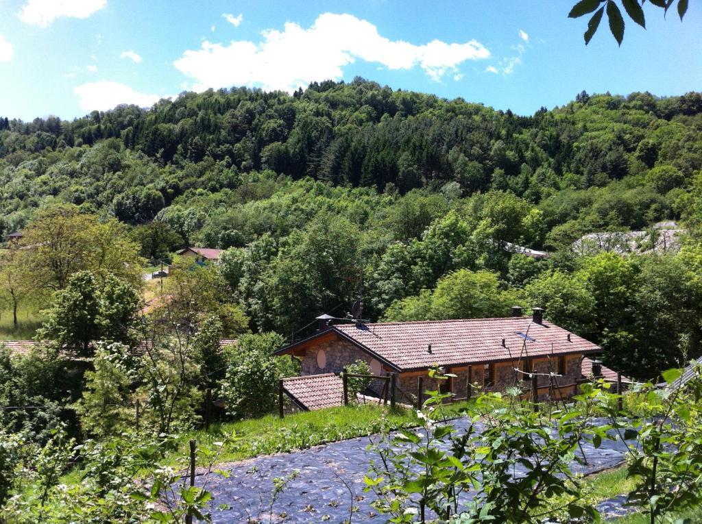 Agriturismo Il Talento Nella Quiete カスティリオーネ・ディンテルヴィ エクステリア 写真